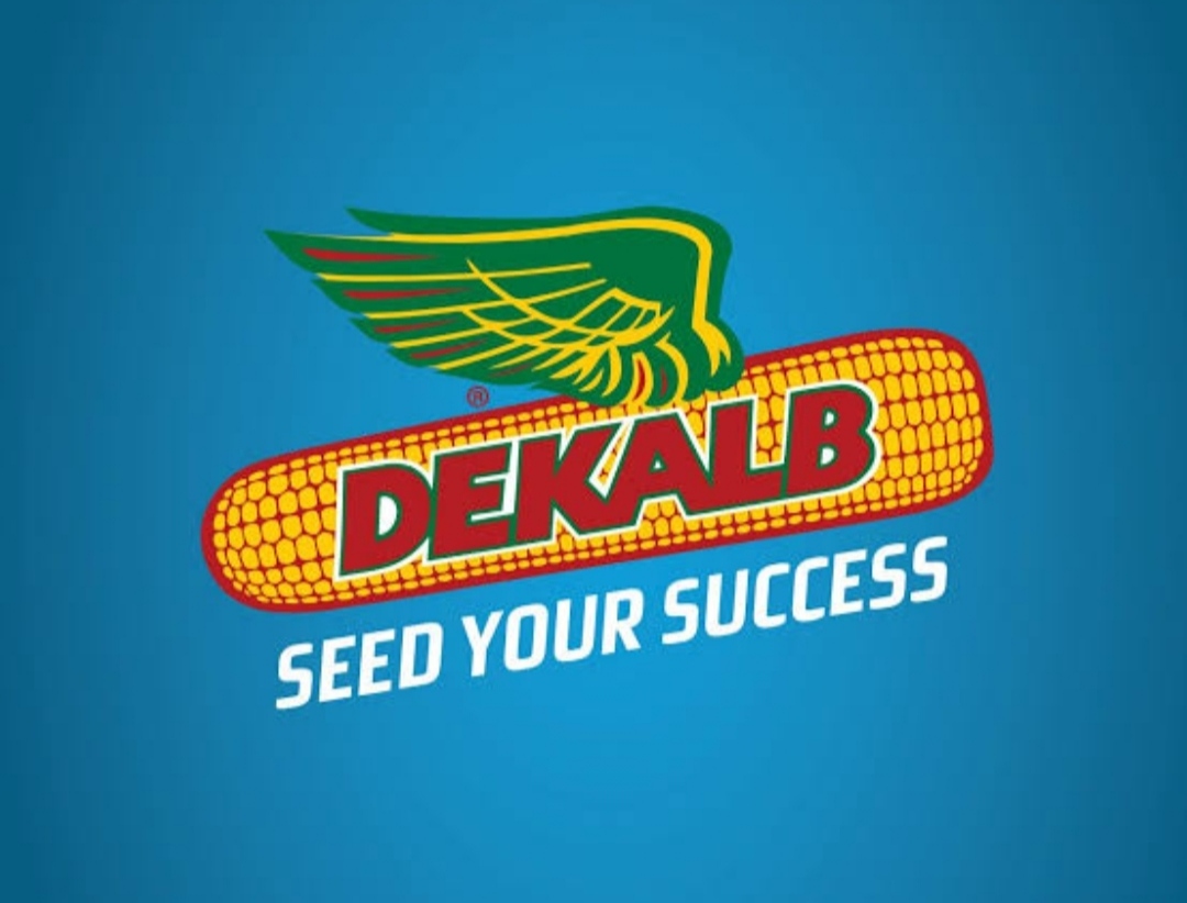 Dekalb